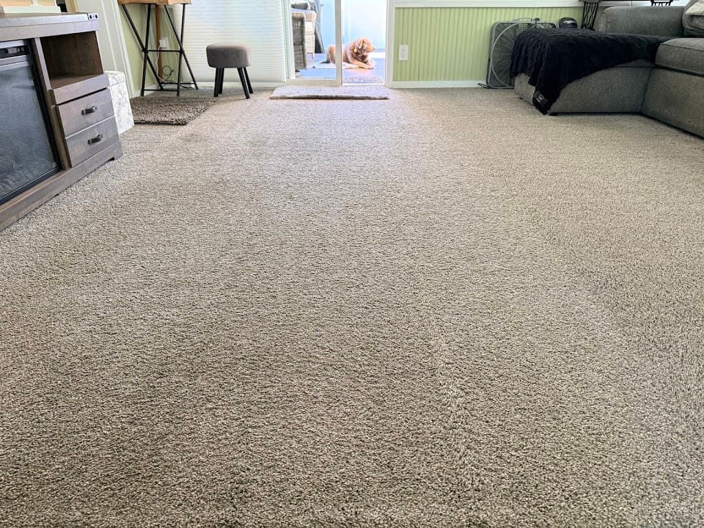 Freshly vacuumed carpet in a client's living room